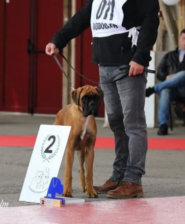 ATHOS Des Légendes O'malley